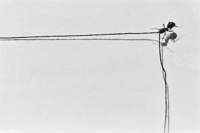 Contact