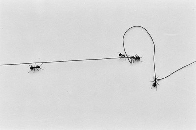 Contact