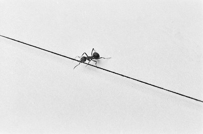 Contact