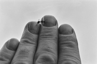 Contact