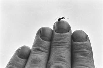Contact