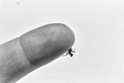 Contact
