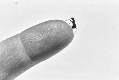 Contact