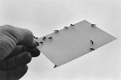 Contact
