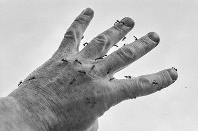 Contact