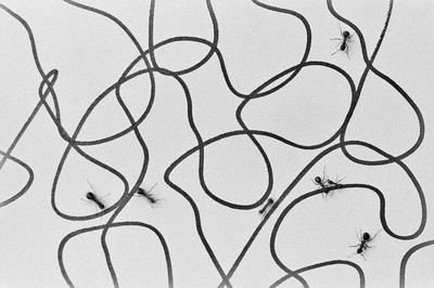 Contact