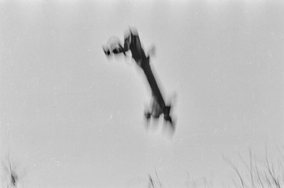 Object X
