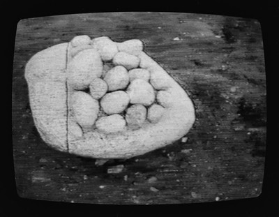 Momentary Objects. Scheme of Disintegration