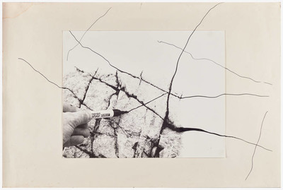Momentary Objects. Scheme of Disintegration