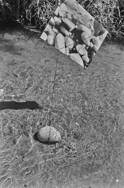 Dynamic Object - The Świder River