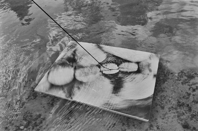 Dynamic Object - The Świder River