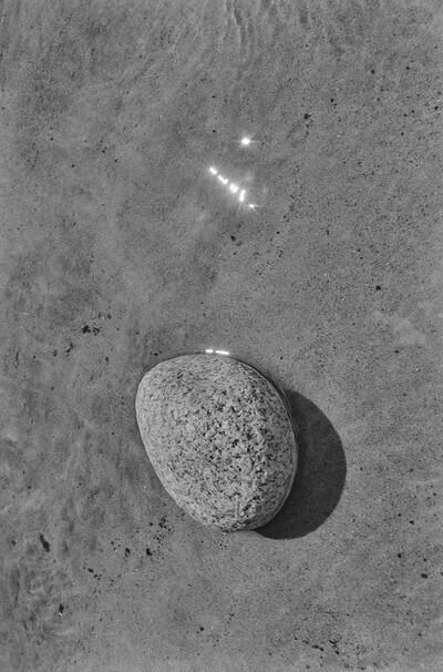 Dynamic Object - The Świder River
