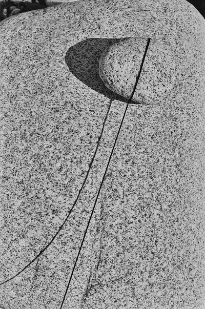 Dynamic Object - The Białka River