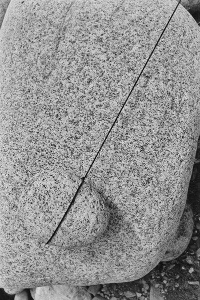 Dynamic Object - The Białka River