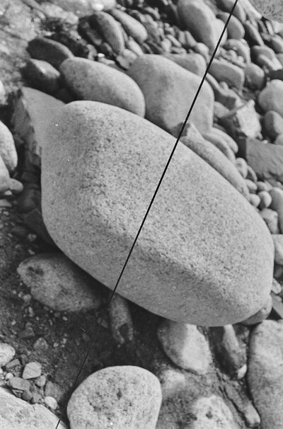 Dynamic Object - The Białka River