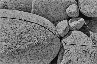 Dynamic Object - The Białka River