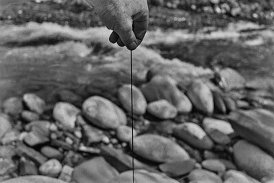 Dynamic Object - The Białka River