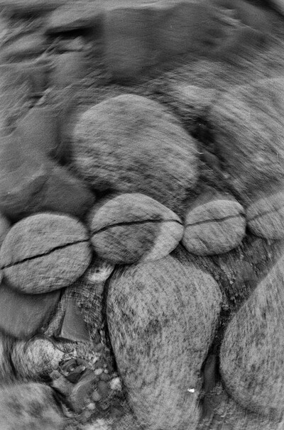 Dynamic Object - The Białka River