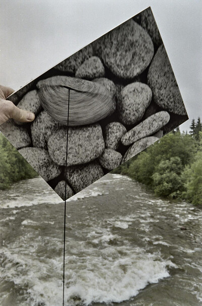 Dynamic Object - The Białka River