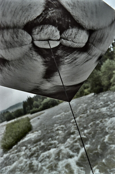 Dynamic Object - The Białka River