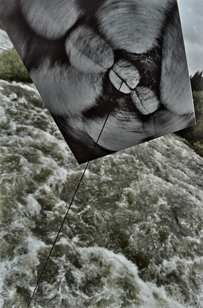 Dynamic Object - The Białka River