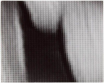 Videophotographs