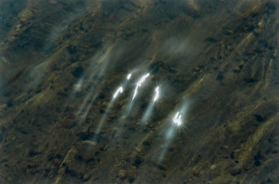 Elements